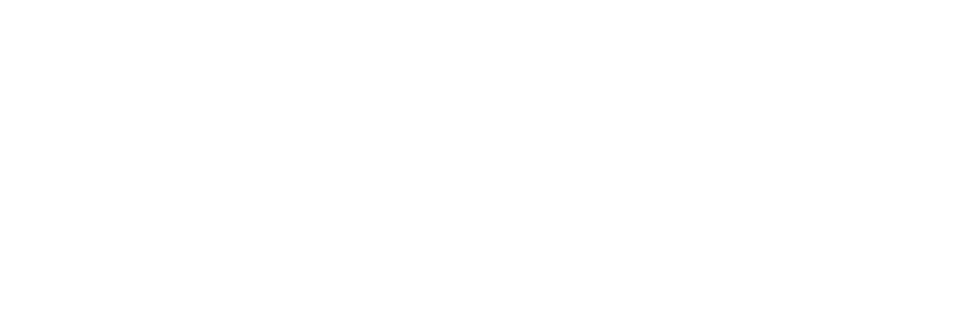 Microsoft Silver Partner Logo